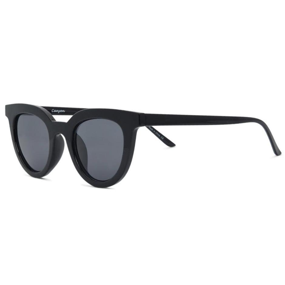  I-SEA CANYON POLARIZED LENS SUNGLASSES(I Sea Canyon Polarized Lens Sunglasses)