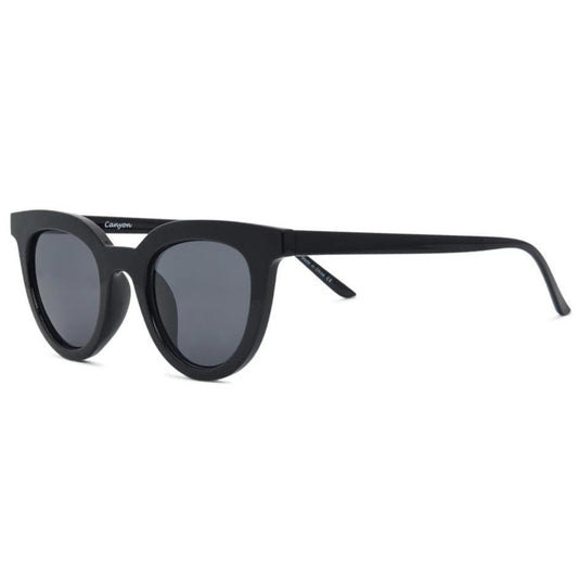  I-SEA CANYON POLARIZED LENS SUNGLASSES(I Sea Canyon Polarized Lens Sunglasses)