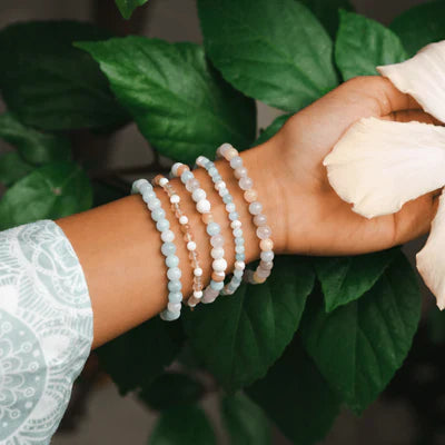  LOTUS & LUNA ASSORTED HEALING BEAD BRACELETS(Lotus Luna Assorted Healing Bead Bracelets)